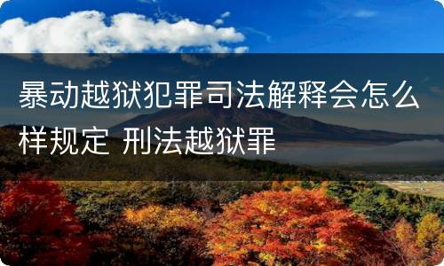 暴动越狱犯罪司法解释会怎么样规定 刑法越狱罪