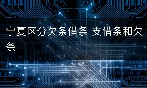 宁夏区分欠条借条 支借条和欠条