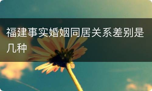 福建事实婚姻同居关系差别是几种