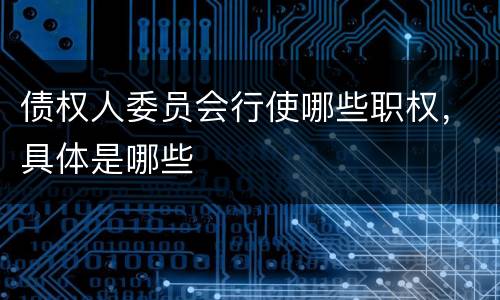 债权人委员会行使哪些职权，具体是哪些