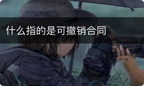 什么指的是可撤销合同
