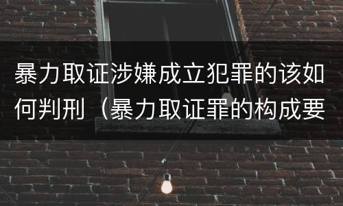 暴力取证涉嫌成立犯罪的该如何判刑（暴力取证罪的构成要件）