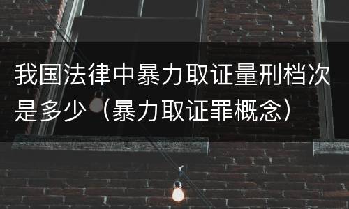 我国法律中暴力取证量刑档次是多少（暴力取证罪概念）