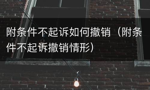 附条件不起诉如何撤销（附条件不起诉撤销情形）