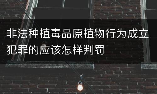 非法种植毒品原植物行为成立犯罪的应该怎样判罚