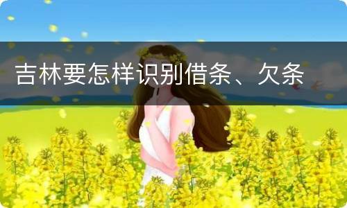 吉林要怎样识别借条、欠条