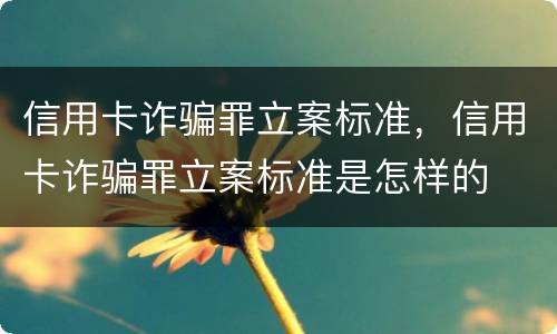 信用卡诈骗罪立案标准，信用卡诈骗罪立案标准是怎样的