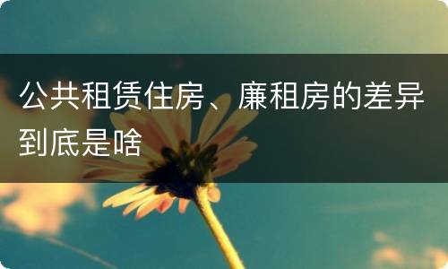公共租赁住房、廉租房的差异到底是啥