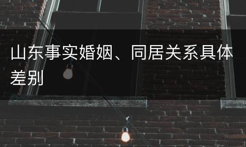 山东事实婚姻、同居关系具体差别