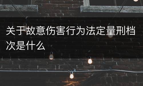 关于故意伤害行为法定量刑档次是什么