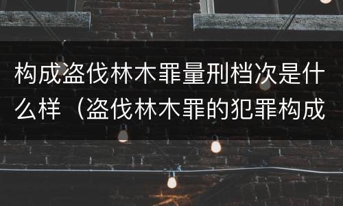 构成盗伐林木罪量刑档次是什么样（盗伐林木罪的犯罪构成）