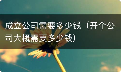 成立公司需要多少钱（开个公司大概需要多少钱）