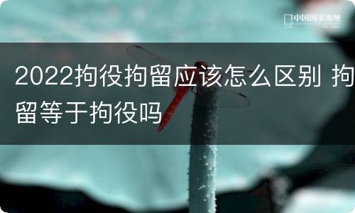 2022拘役拘留应该怎么区别 拘留等于拘役吗