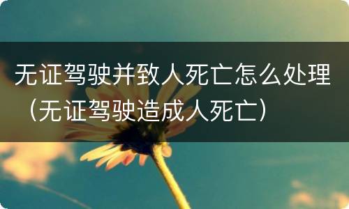 无证驾驶并致人死亡怎么处理（无证驾驶造成人死亡）
