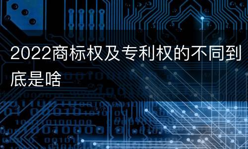 2022商标权及专利权的不同到底是啥