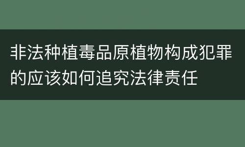 非法种植毒品原植物构成犯罪的应该如何追究法律责任
