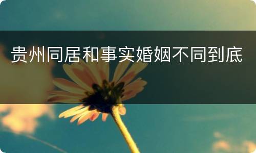 贵州同居和事实婚姻不同到底