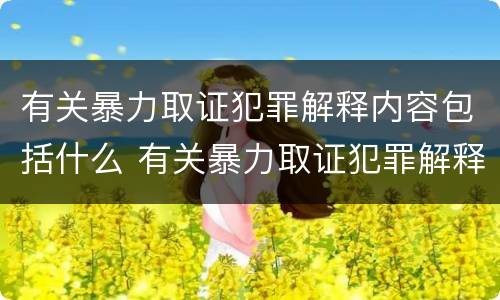 有关暴力取证犯罪解释内容包括什么 有关暴力取证犯罪解释内容包括什么