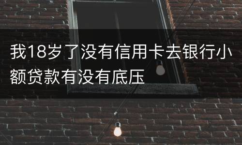 我18岁了没有信用卡去银行小额贷款有没有底压