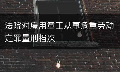 法院对雇用童工从事危重劳动定罪量刑档次