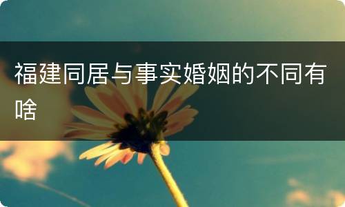 福建同居与事实婚姻的不同有啥