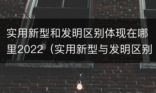 实用新型和发明区别体现在哪里2022（实用新型与发明区别）