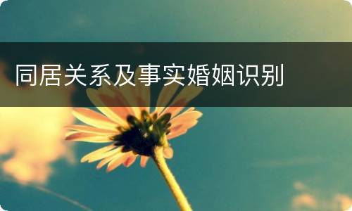 同居关系及事实婚姻识别