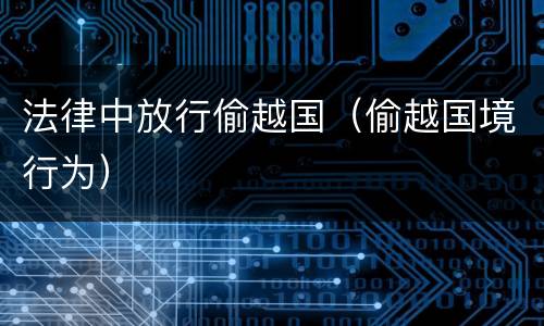 法律中放行偷越国（偷越国境行为）