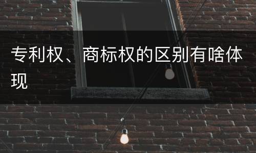 专利权、商标权的区别有啥体现