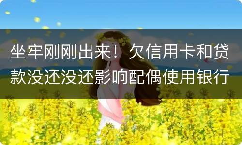 坐牢刚刚出来！欠信用卡和贷款没还没还影响配偶使用银行卡吗？会冻结她的吗