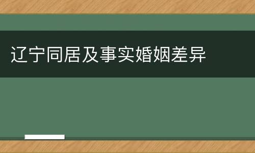 辽宁同居及事实婚姻差异