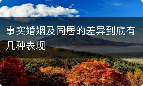 事实婚姻及同居的差异到底有几种表现