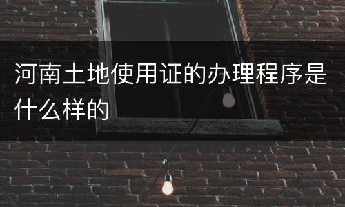 河南土地使用证的办理程序是什么样的