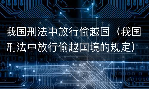 我国刑法中放行偷越国（我国刑法中放行偷越国境的规定）