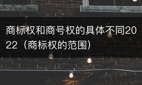 商标权和商号权的具体不同2022（商标权的范围）