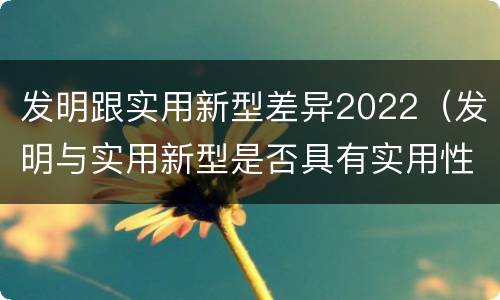 发明跟实用新型差异2022（发明与实用新型是否具有实用性）