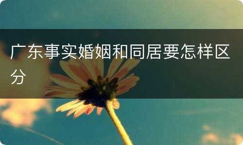 广东事实婚姻和同居要怎样区分