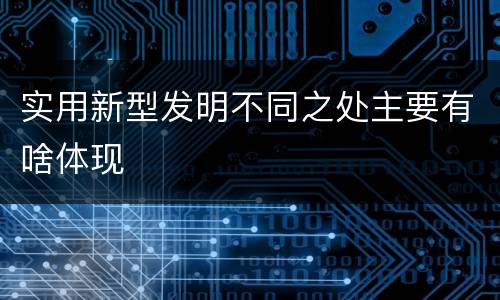 实用新型发明不同之处主要有啥体现
