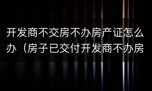 开发商不交房不办房产证怎么办（房子已交付开发商不办房产证）