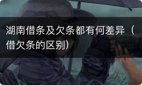 湖南借条及欠条都有何差异（借欠条的区别）