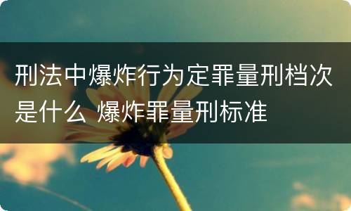 刑法中爆炸行为定罪量刑档次是什么 爆炸罪量刑标准