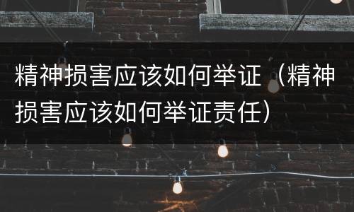 精神损害应该如何举证（精神损害应该如何举证责任）