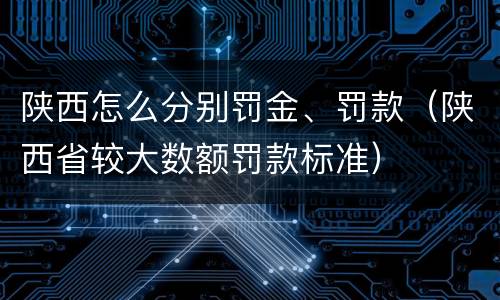 陕西怎么分别罚金、罚款（陕西省较大数额罚款标准）