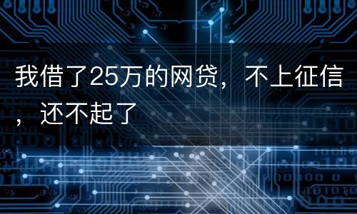 我借了25万的网贷，不上征信，还不起了