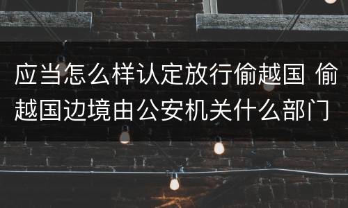 应当怎么样认定放行偷越国 偷越国边境由公安机关什么部门进行处罚