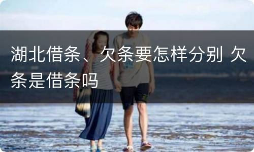 湖北借条、欠条要怎样分别 欠条是借条吗