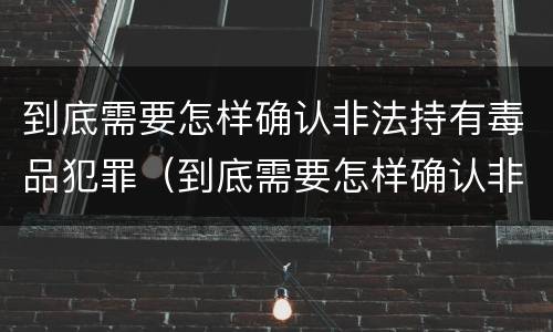 到底需要怎样确认非法持有毒品犯罪（到底需要怎样确认非法持有毒品犯罪记录）