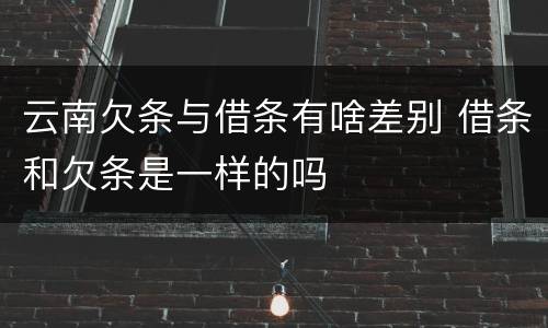 云南欠条与借条有啥差别 借条和欠条是一样的吗