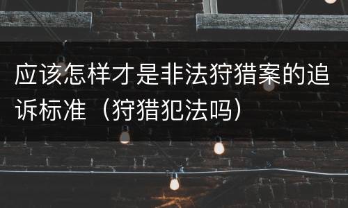 应该怎样才是非法狩猎案的追诉标准（狩猎犯法吗）