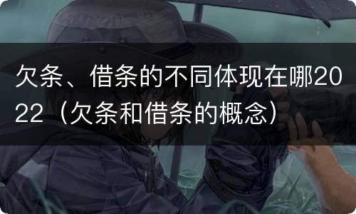 欠条、借条的不同体现在哪2022（欠条和借条的概念）